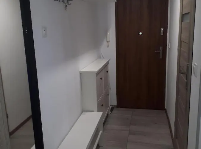 Stogi Plaza Apartment